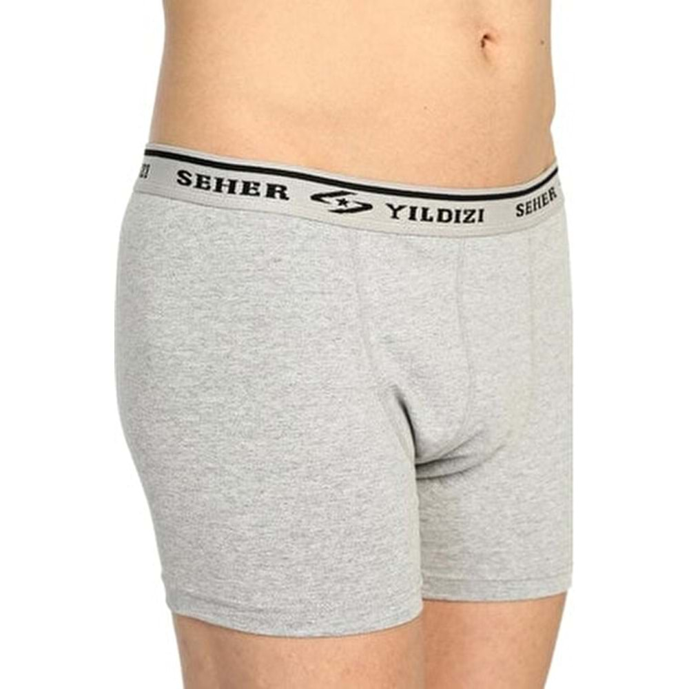 0060 SHR LİCRA BOXER GRİ L