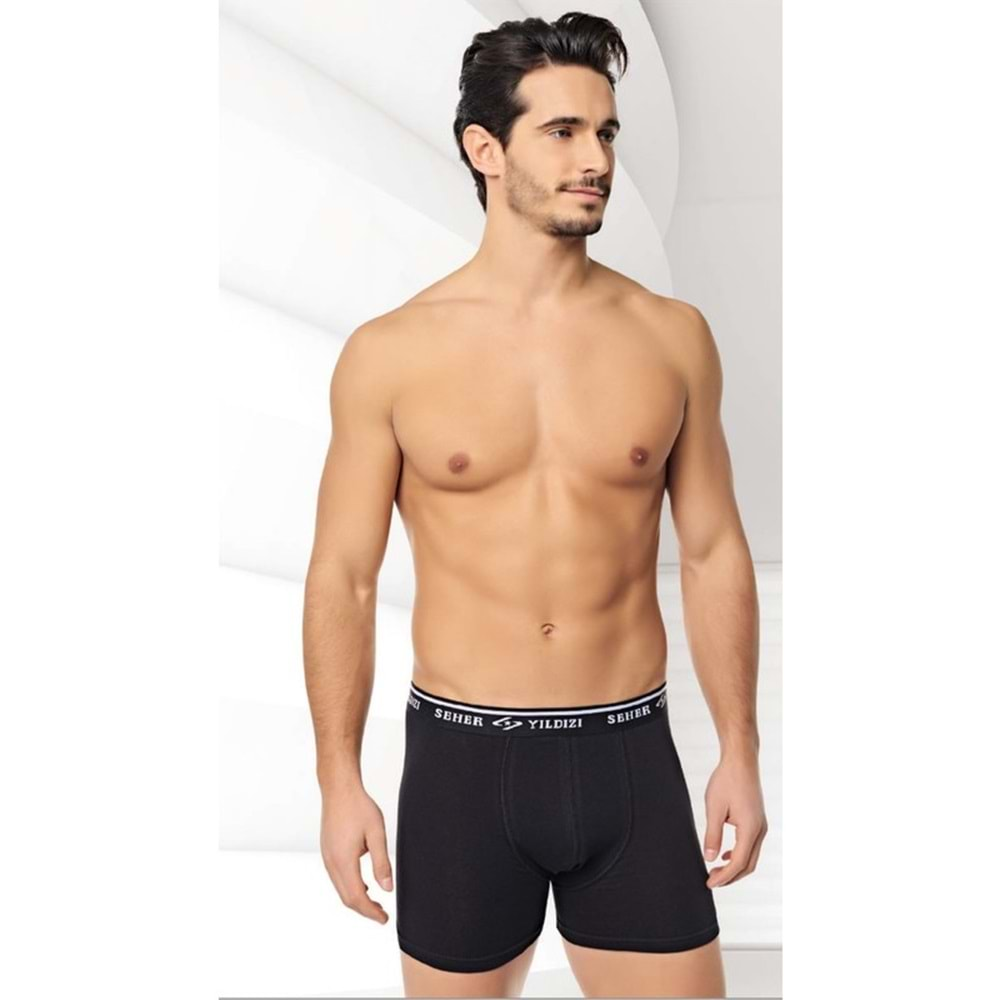 0060 SHR LİCRA BOXER SYH L