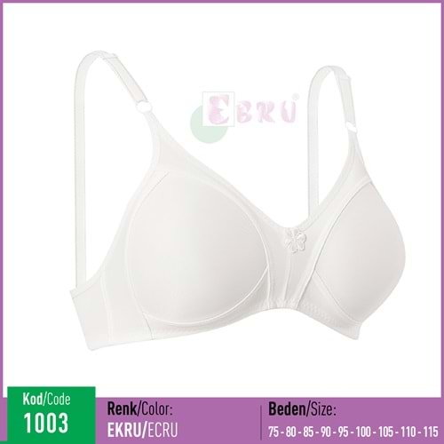 1003B EBRU ŞARDON TPLY BEYAZ 100